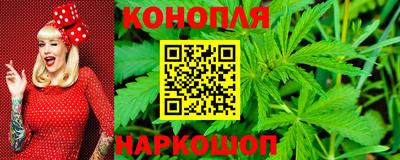 стафф Гусев