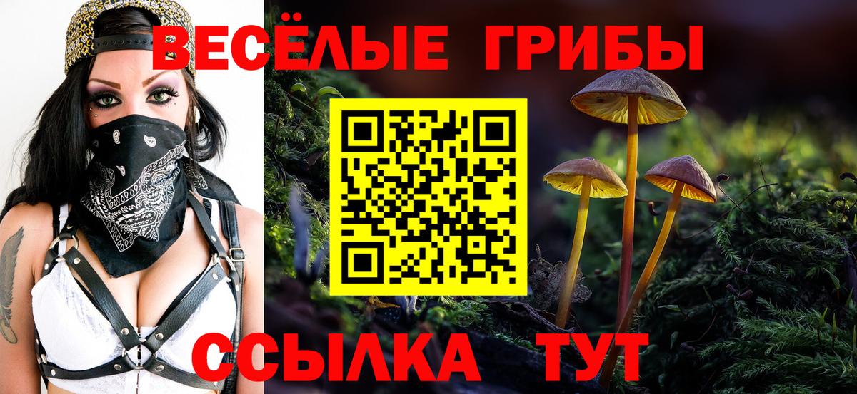 Галлюциногенные грибы Cubensis  Вход с VPN  даркнет сайт  Мурманск 