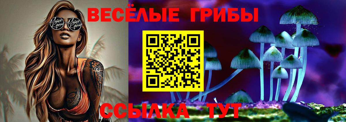 Псилоцибиновые грибы мухоморы Мурманск